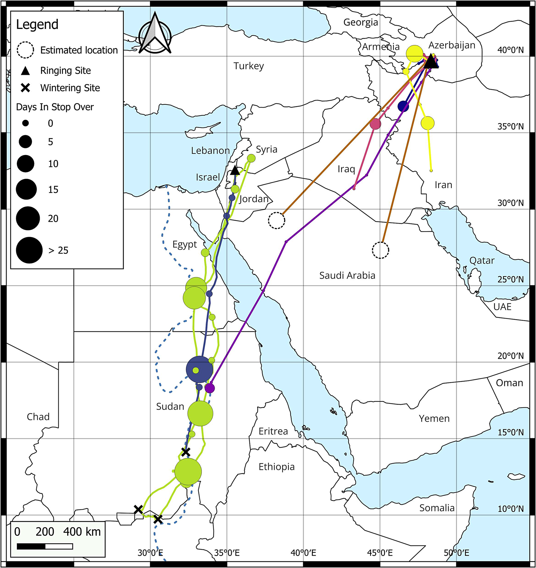 من أذربيجان إلى النيل: أجهزة GPS تكشف الطرق الصعبة لهجرة اليمام القمري